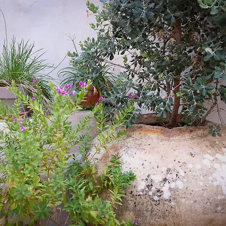 La Pileta - Grupo Califa Vejer de la Frontera